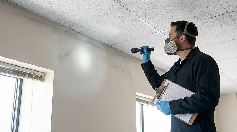 Drywall Decisions: When It Can Be Dried, and When It Must Be Removed