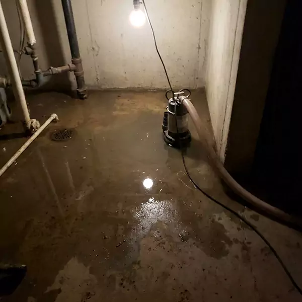 Basement Flood Clean Up in Mesa, AZ