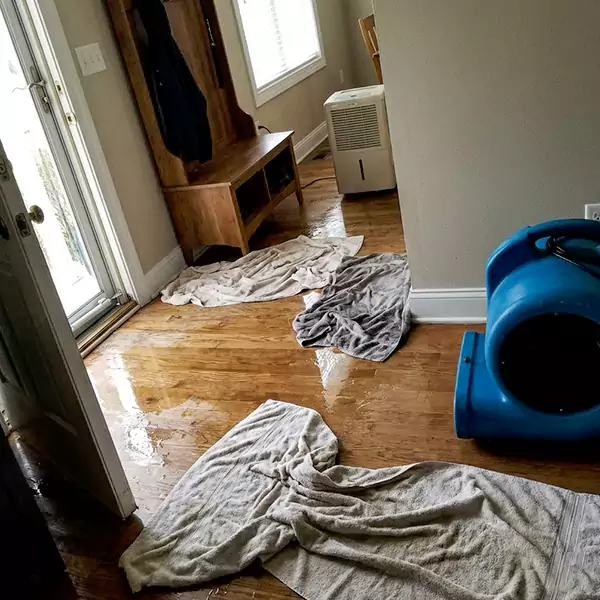 Water Mitigation in Mesa, AZ