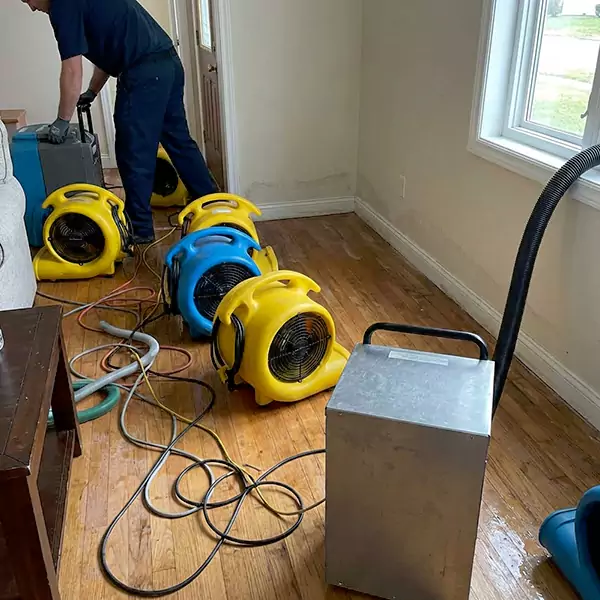 Water Mitigation Services in Mesa, AZ