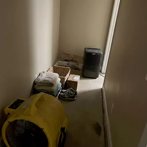 Expert Water Remediation in Mesa, AZ 