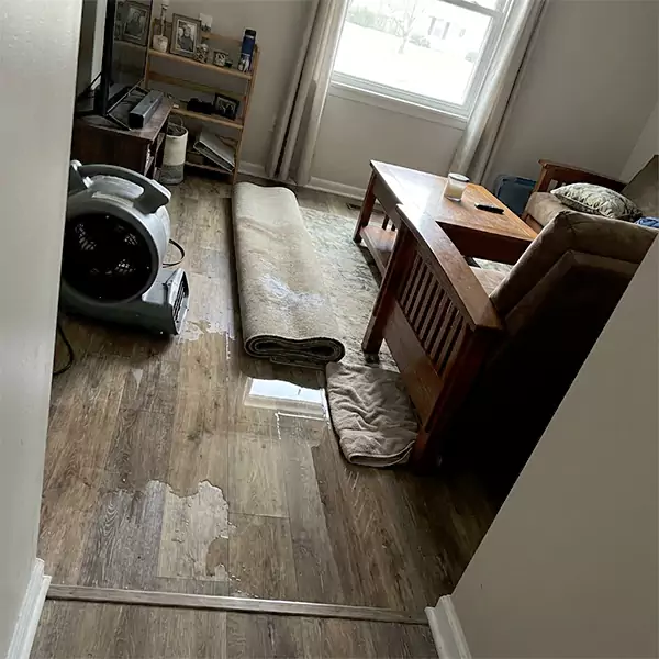 Water Restoration in Mesa, AZ