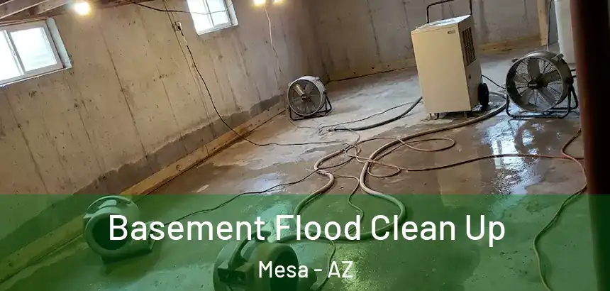 Basement Flood Clean Up Mesa - AZ