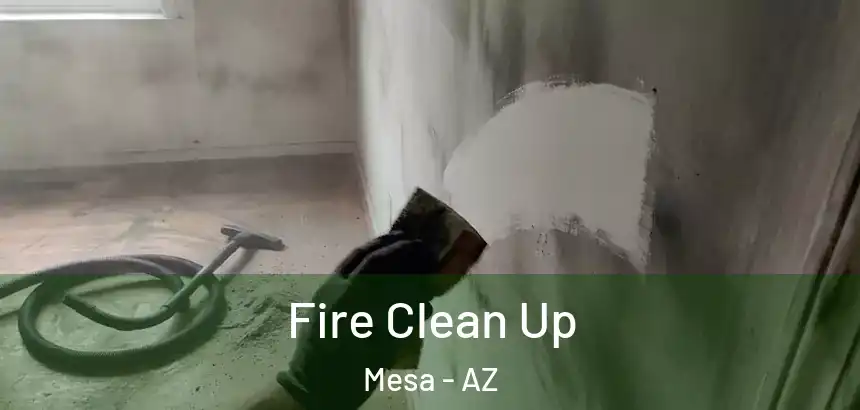  Fire Clean Up Mesa - AZ