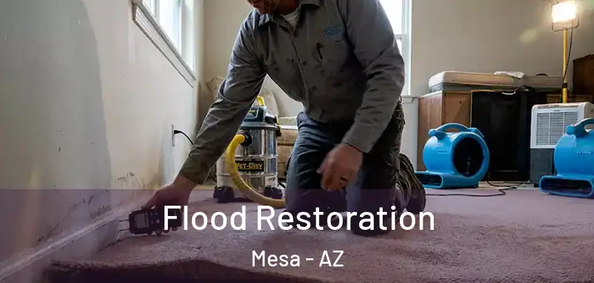  Flood Restoration Mesa - AZ