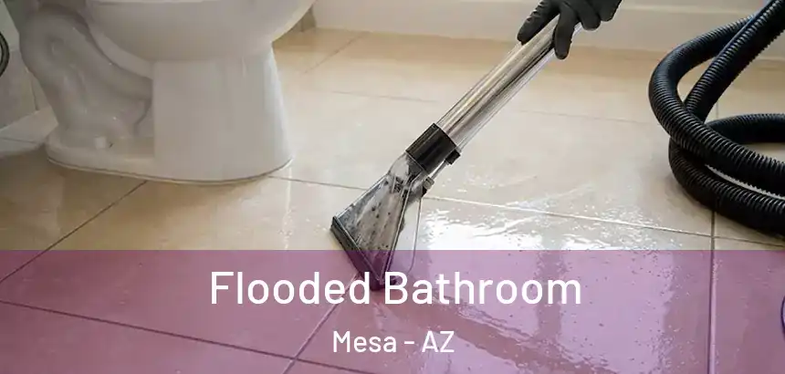  Flooded Bathroom Mesa - AZ