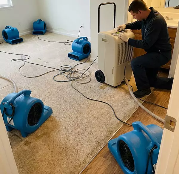Why Homeowners & Businesses Choose Mesa Water Damage Pro for 24 7 Restoration in Mesa, AZ?
