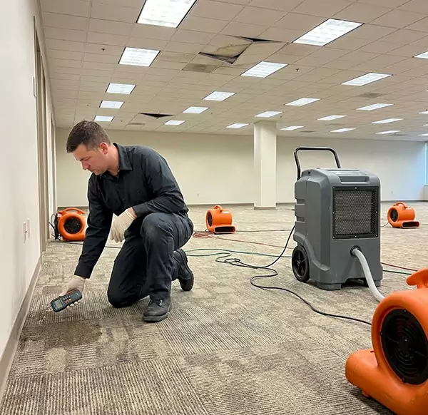 Why Businesses Choose Mesa Water Damage Pro for Commercial Water Damage in Mesa, AZ?