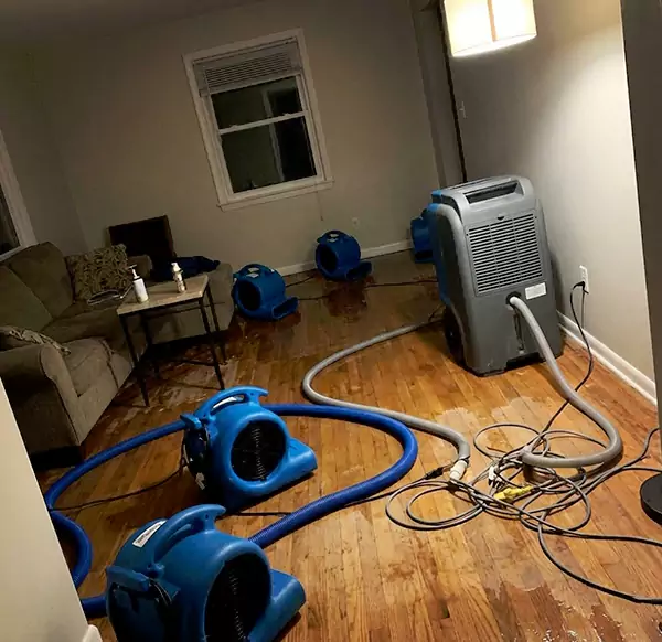 Why Homeowners & Businesses Choose Mesa Water Damage Pro for Emergency Water Restoration in Mesa, AZ?
