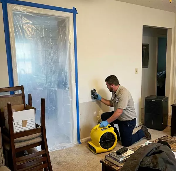 Why Homeowners & Businesses Choose Mesa Water Damage Pro for Water Remediation in Mesa, AZ?