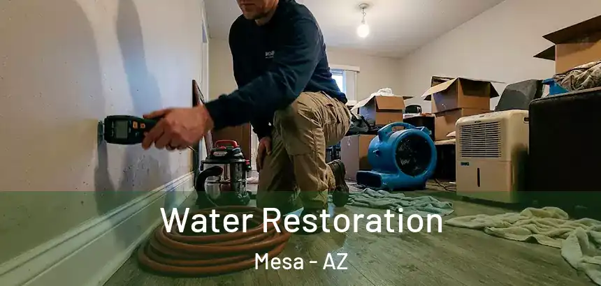 Water Restoration Mesa - AZ